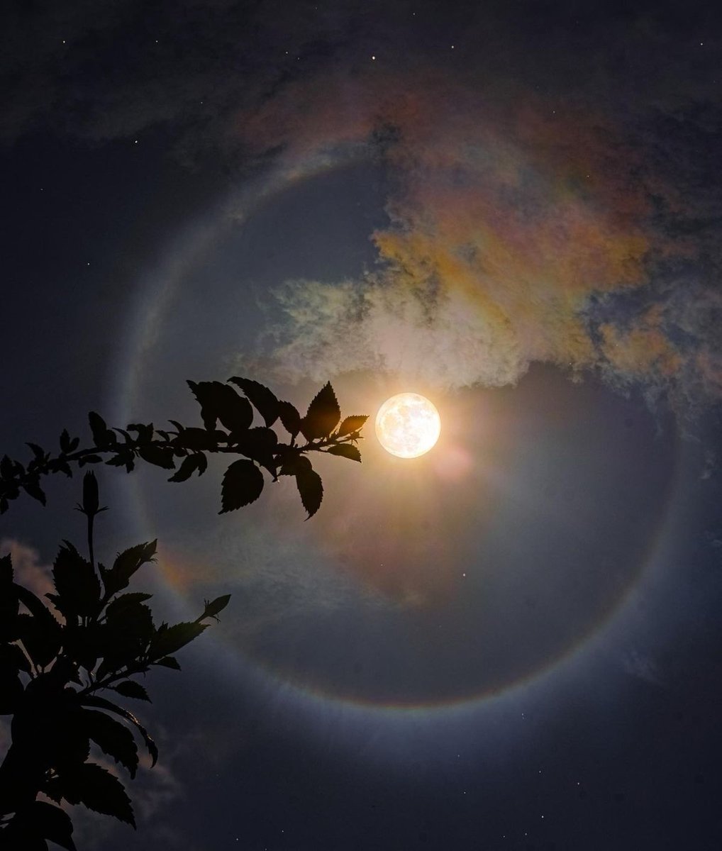 Black. (@blackdreamvibes) on Twitter photo 