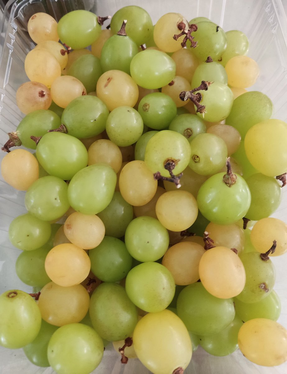 さっき届いたふるさと納税のシャインマスカット。
いくら訳ありでも、これは酷くない? それともこれが普通なの? #笛吹市