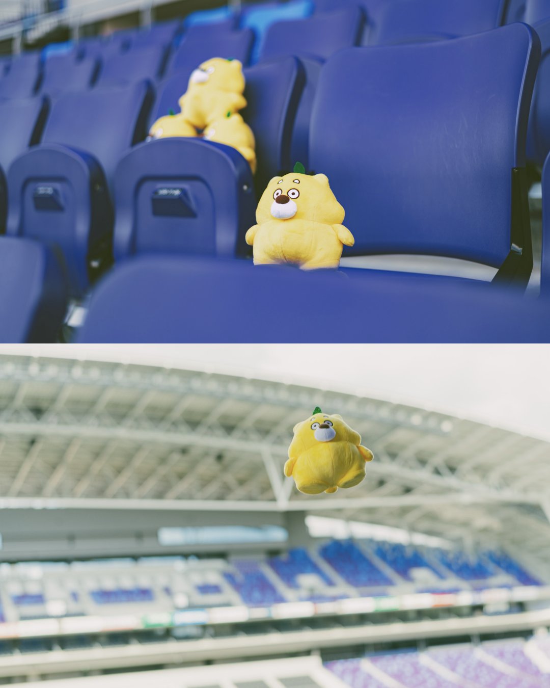 ひろくま (@hirokuma_1690) / X