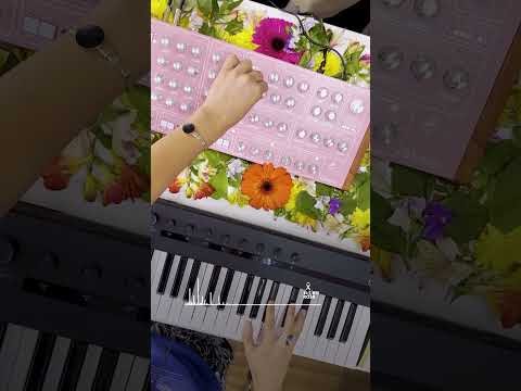 matrixsynth's tweet image. New Post:  Van Shake x GS Music | Live Set with the Pink E7 Synth 💗 Music with Purpose dlvr.it/TNWWKz