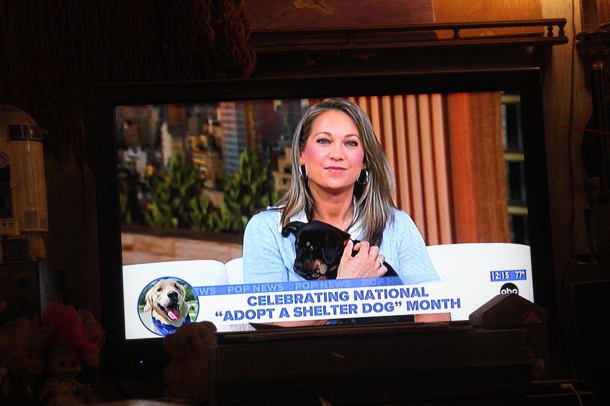 docsanderson's tweet image. #Scientists #Vendetta @Ginger_Zee you are unbelievably Un Evolved Crude low class no ability to adapt or change. none.just fucking suffer @NatureMedicine "Author Would Not Survive Publication" Dr. Skipper you get the knowledge of its because of you i decided to Quit, Rot in Hell.