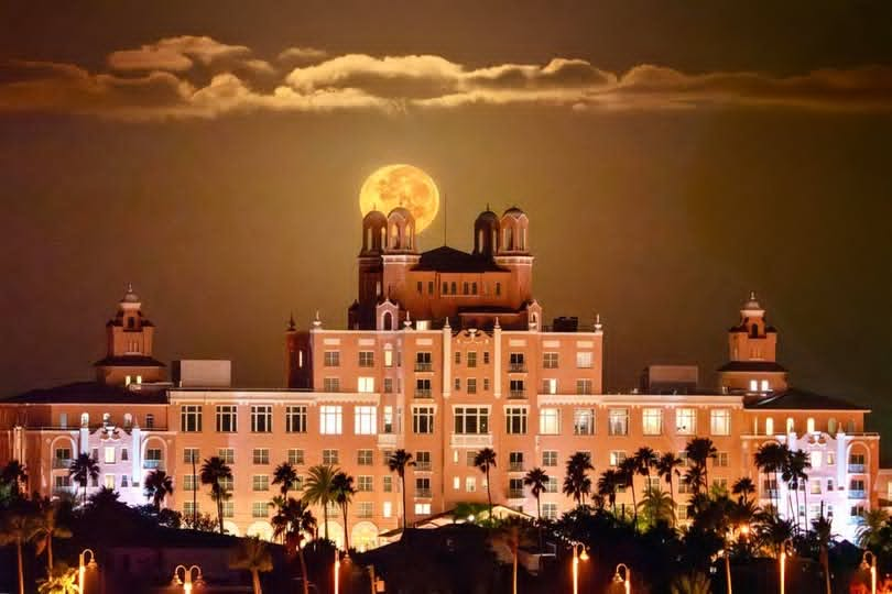 assured_media's tweet photo. 𝐒𝐭. 𝐏𝐞𝐭𝐞𝐫𝐬𝐛𝐮𝐫𝐠, 𝐅𝐥𝐨𝐫𝐢𝐝𝐚 - The Harvest Moon sets over the Don CeSar hotel on St. Pete Beach.

#StPete #StPetersburg #Florida #HarvestMoon #Beach #DonCeSar #Hotel #Photography #NatGeo https://t.co/jy9yRWaQTd