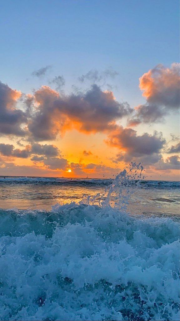 Aesthetics (@aestheticspost_) on Twitter photo 