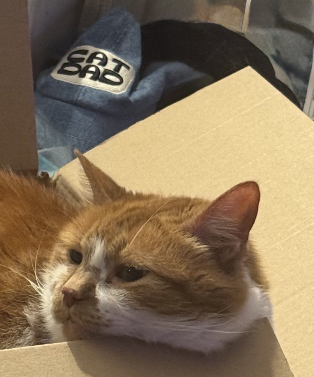 Josh Ney tweet media