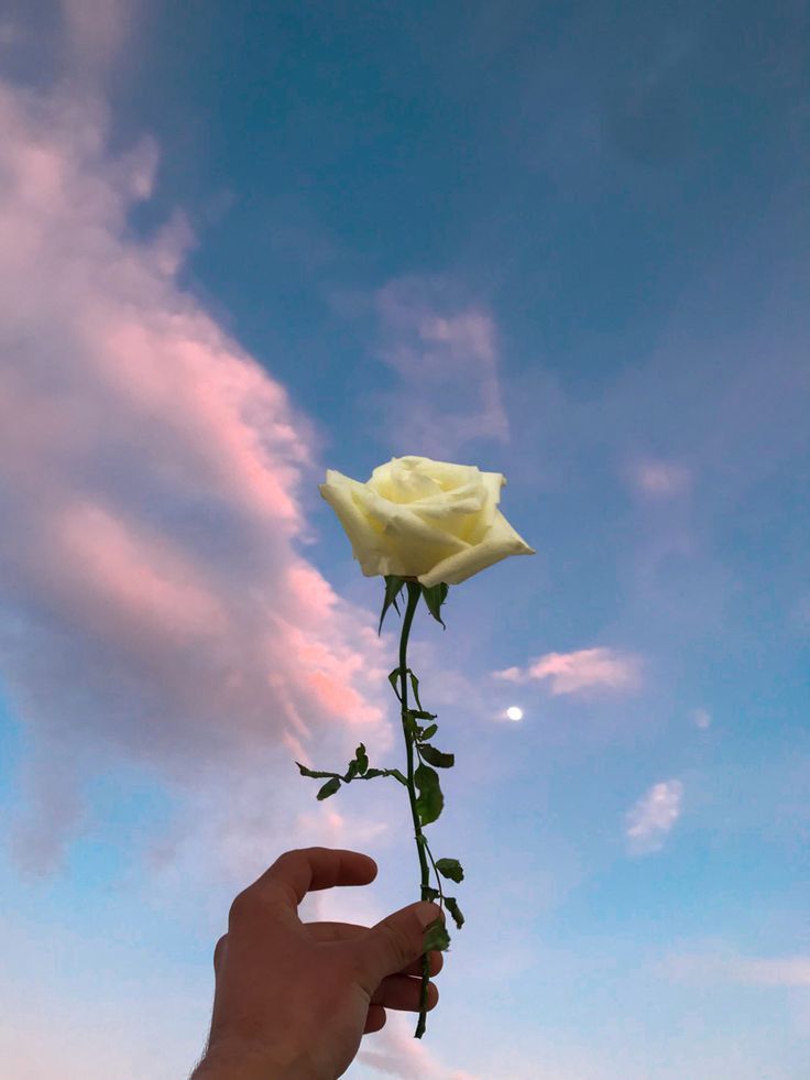 <a href="/DiazCanelB/">Miguel Díaz-Canel Bermúdez</a> Con toda la rabia y el dolor, alzamos la voz.Barbados fue un crimen cobarde que arrancó vidas inocentes de nuestro pueblo. No hay perdón para el terrorismo,no hay olvido para la infamia.Exigimos justicia con la fuerza de los que no se doblegan.¡Verdad y Castigo!
#NoAlTerrorismo