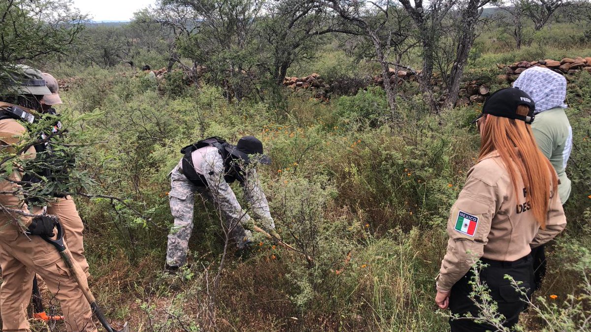 CCS_Zac's tweet image. Prospectan autoridades estatales un predio en #Tepetongo con resultado positivo.
Las acciones de hoy se enmarcan no solamente en la responsabilidad como autoridades sino en el compromiso del Gobernador @DavidMonrealA con las familias.

#PazEsBienestar

zacatecas.gob.mx/prospectan-aut…