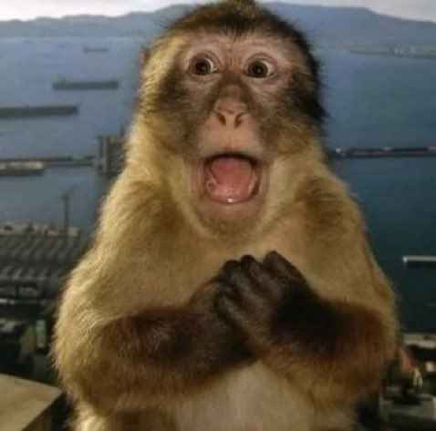 naiivememe tweet picture