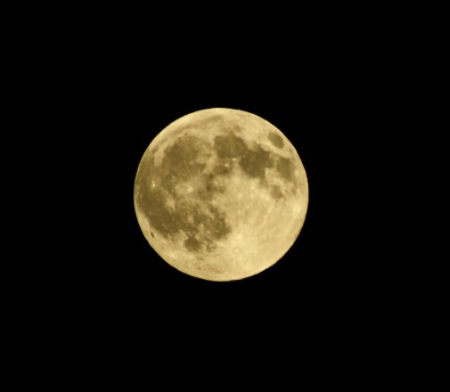 Boggyshaw's tweet photo. Well, if I am not posting a bird, it must be the moon! Tonight we have the first of three consecutive Super Moons! This is the Harvest Moon!
#Full_Moon #Super_Moon #Harvest_Moon https://t.co/VRjXULMVVa