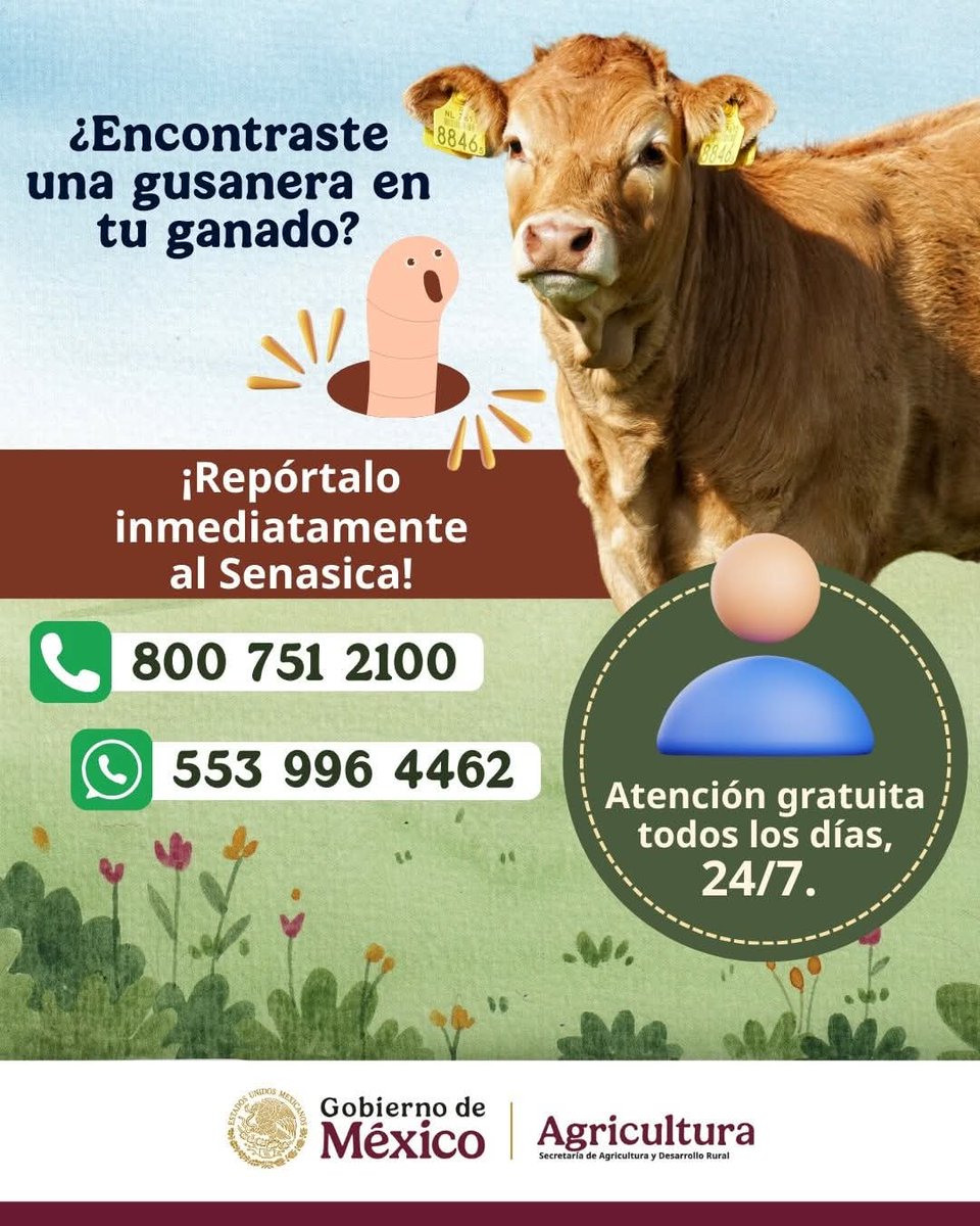 Ramón Ochoa Peña tweet media