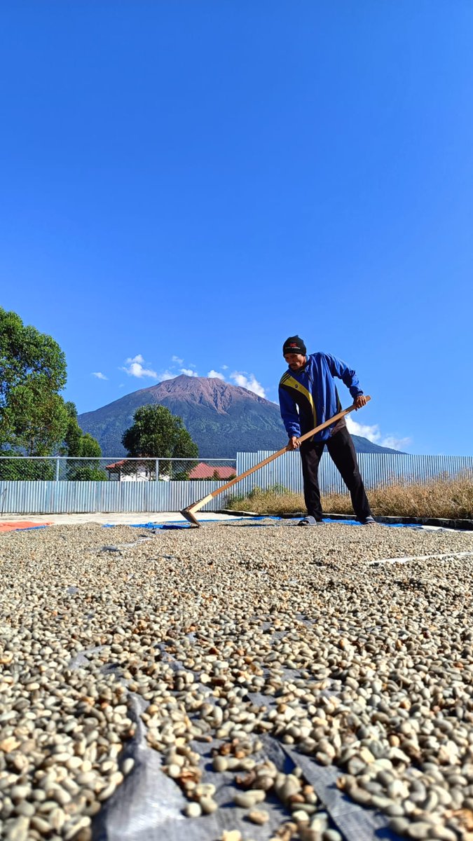 Pebriyansah tweet media