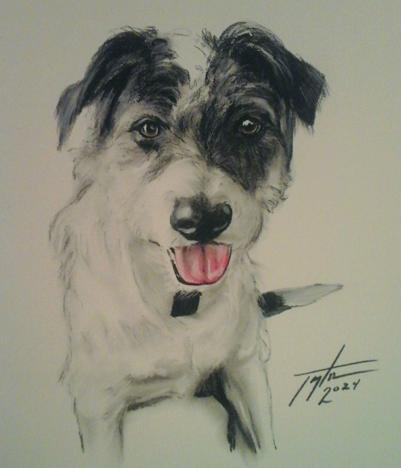 <a href="/CindySinor/">they call me Pencils</a> Absolutely amazing. I commissioned a Twitter friend to draw a charcoal picture of my Derpy. I love it ❤️