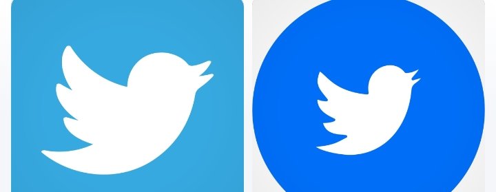 下次见 tweet media