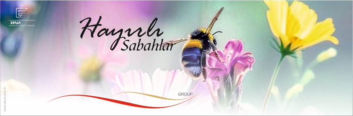 Ebrar Group tweet media