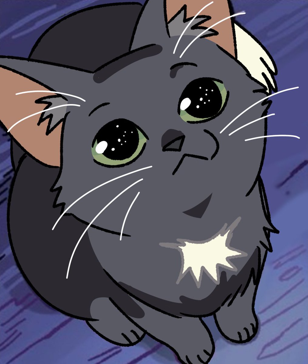 Ravenpaw tweet media