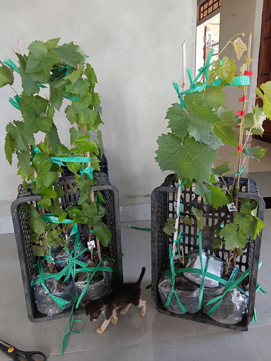 Wheelerqq3477 (@wheeler52998706) on Twitter photo 