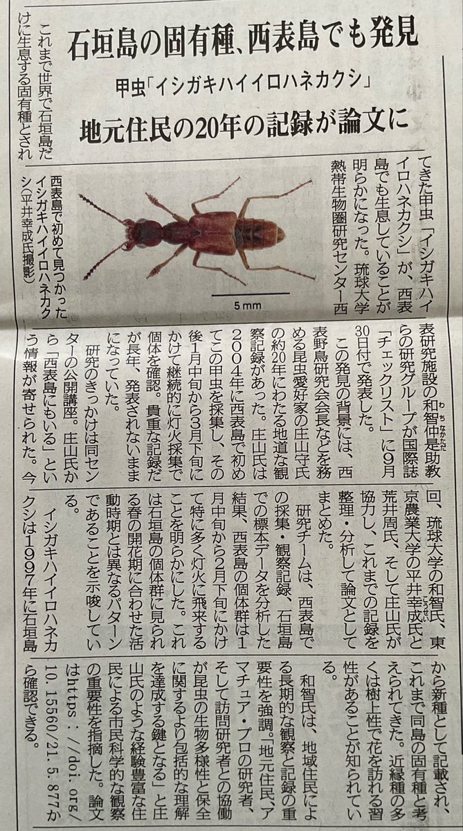 八重山毎日2025年10月7日

８面　「石垣島の固有種、西表島でも発見　甲虫『イシガキハイイロハネカクシ』　地元住民の20年の記録が論文に」