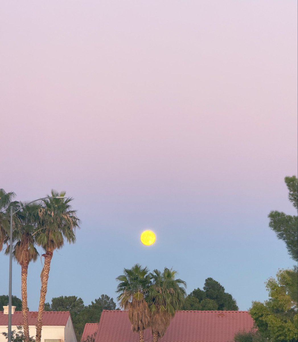 This was special. Harvest moon dividing the color in the sky. 🥹