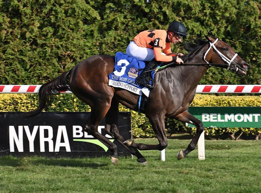 StakesWinners's tweet photo. 🏆 GROUND SUPPORT
(Adam Beschizza - Kelsey Danner)
MISS GRILLO STAKES 2025 ($200,000) Belmont at The Big A @TheNYRA @ABeschizza @florida_horse @BreedersCup 
📷 @coglianesephoto https://t.co/KvDzB9rV6b