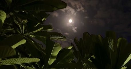 قمر أكتوبر
أكثر إشراقًا ودفئا ،كأنه يروي حكايات
الخريف على ضوٍء من سحر وحنين✨✨