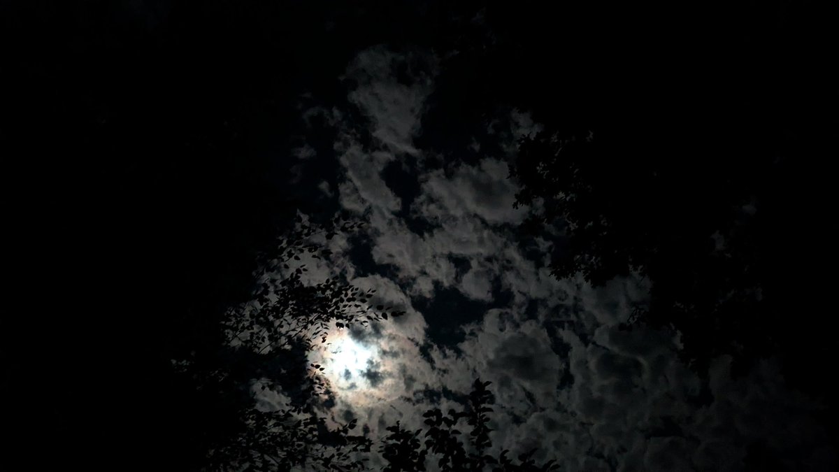 Beautiful essay of linguistic inspirations
globalonenessproject.org/library/essays…