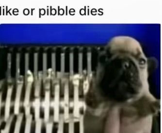 Andy  (@andy_0104_) on Twitter photo 