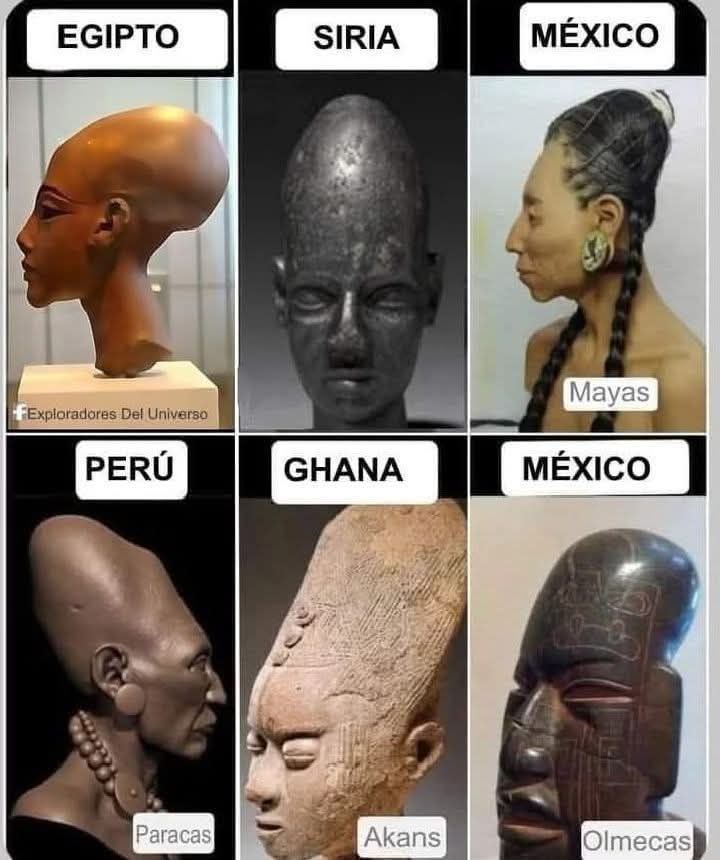 Bronze Giant tweet media