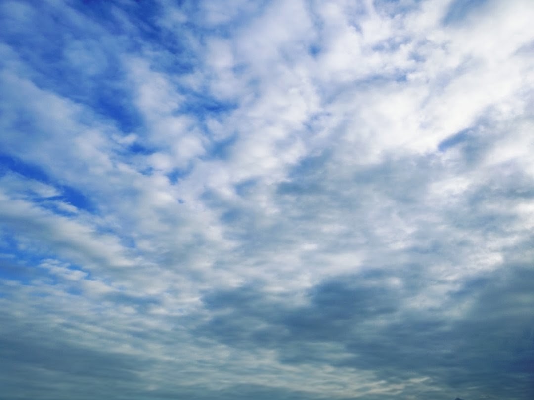 terarin1201's tweet photo. おはようございます
寒くて風の冷たい朝です

いつも位写真になるので
フィルターで明るくして
 #XCamera
の遠近感多用してます https://t.co/WD5PJHMZJb