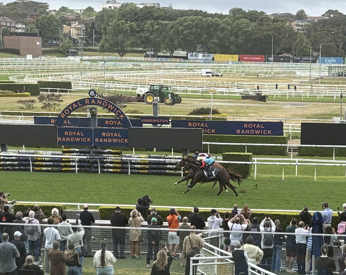 SenorOro's tweet photo. Just another day at the trials #KaYingRising #EverestCarnival #FreeFood @aus_turf_club https://t.co/72E8cjdkn6