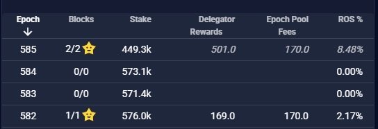 CLUB 101 โข Rise From The Fire tweet media