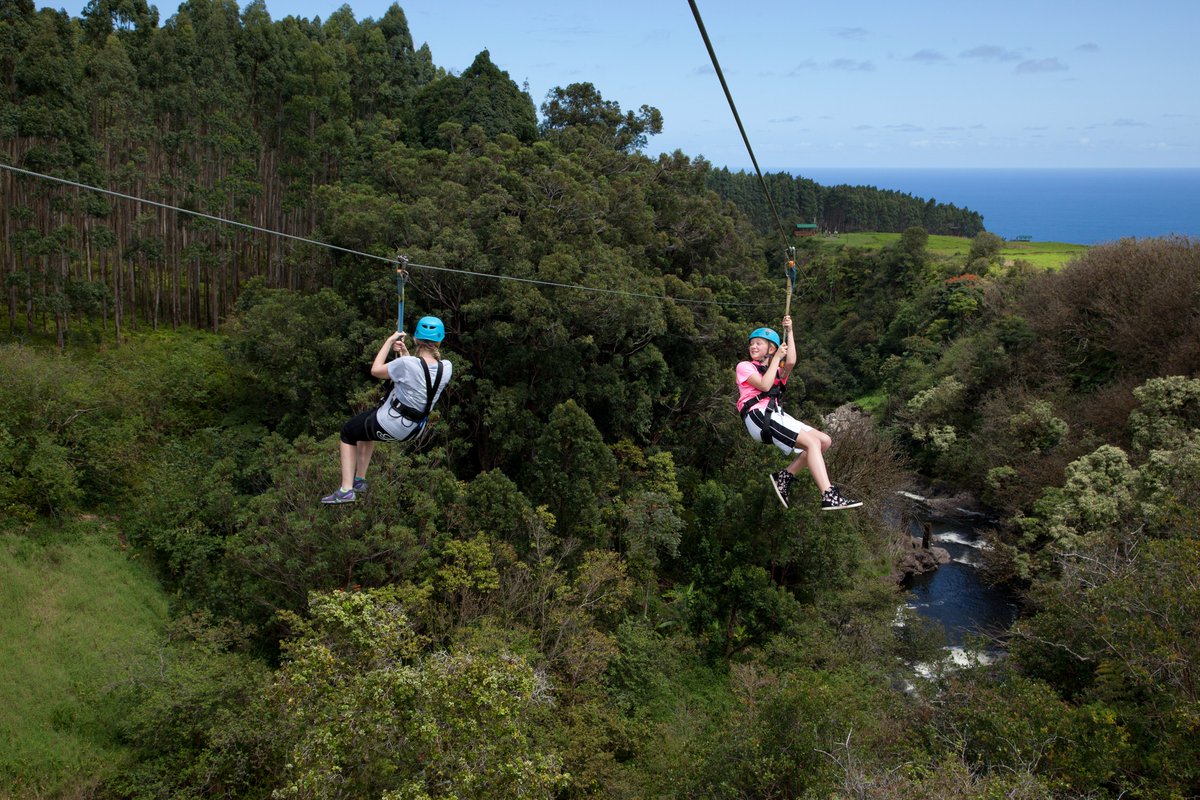 umaumaexp's tweet photo. Family adventure awaits at The Umauma Experience! Creating unforgettable memories, one zipline at a time! These smiles make our day! Ready for your family adventure? Book your Umauma Experience today! https://t.co/oHXYrzjRso #FamilyFun #Familylove #adventuretime #AdventureAwaits https://t.co/xepsKzeUqr