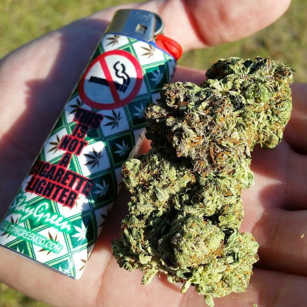 STONERS R US 🍃 tweet media