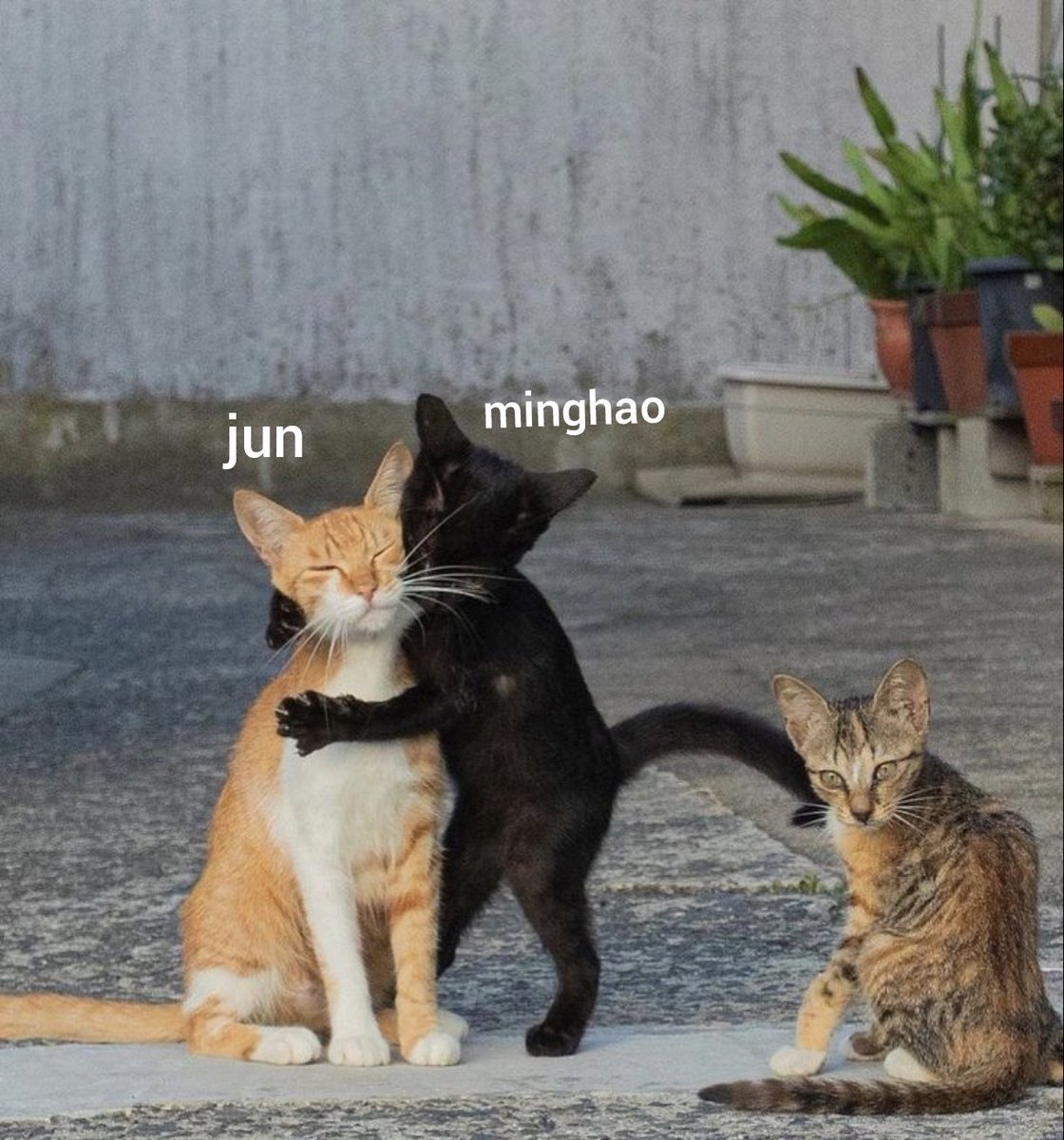 junhao as cats (@catsjunhao) on Twitter photo 