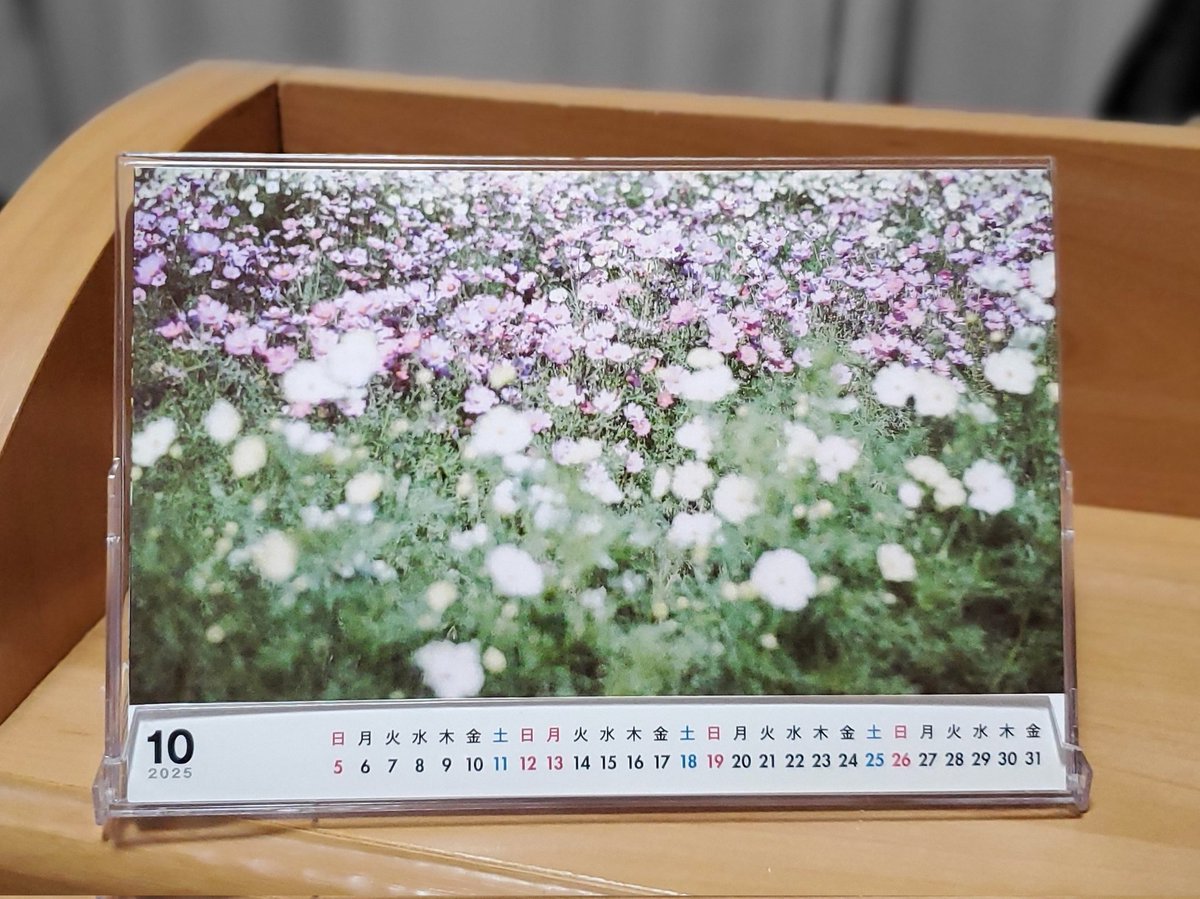 だいこんちゃん🌈 tweet media