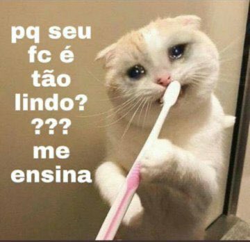 vmintype's tweet photo. comenta um “?” que eu te dou um gatinho.
RESPONDAM COM AS TAGS
#TEAMFULLMOON 🌕 #minweek https://t.co/BHc8dD88Ag