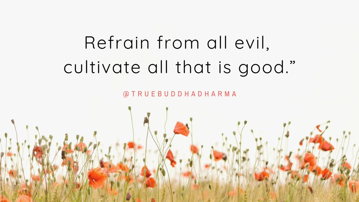 TrueDharma01's tweet image. 🌿 Quote of the Day:
“Refrain from all evil, cultivate all that is good.”
— True Buddha Dharma
 #DorjeChangBuddhaIII #Mindfulness #Buddhism #TrueBuddhaDharma