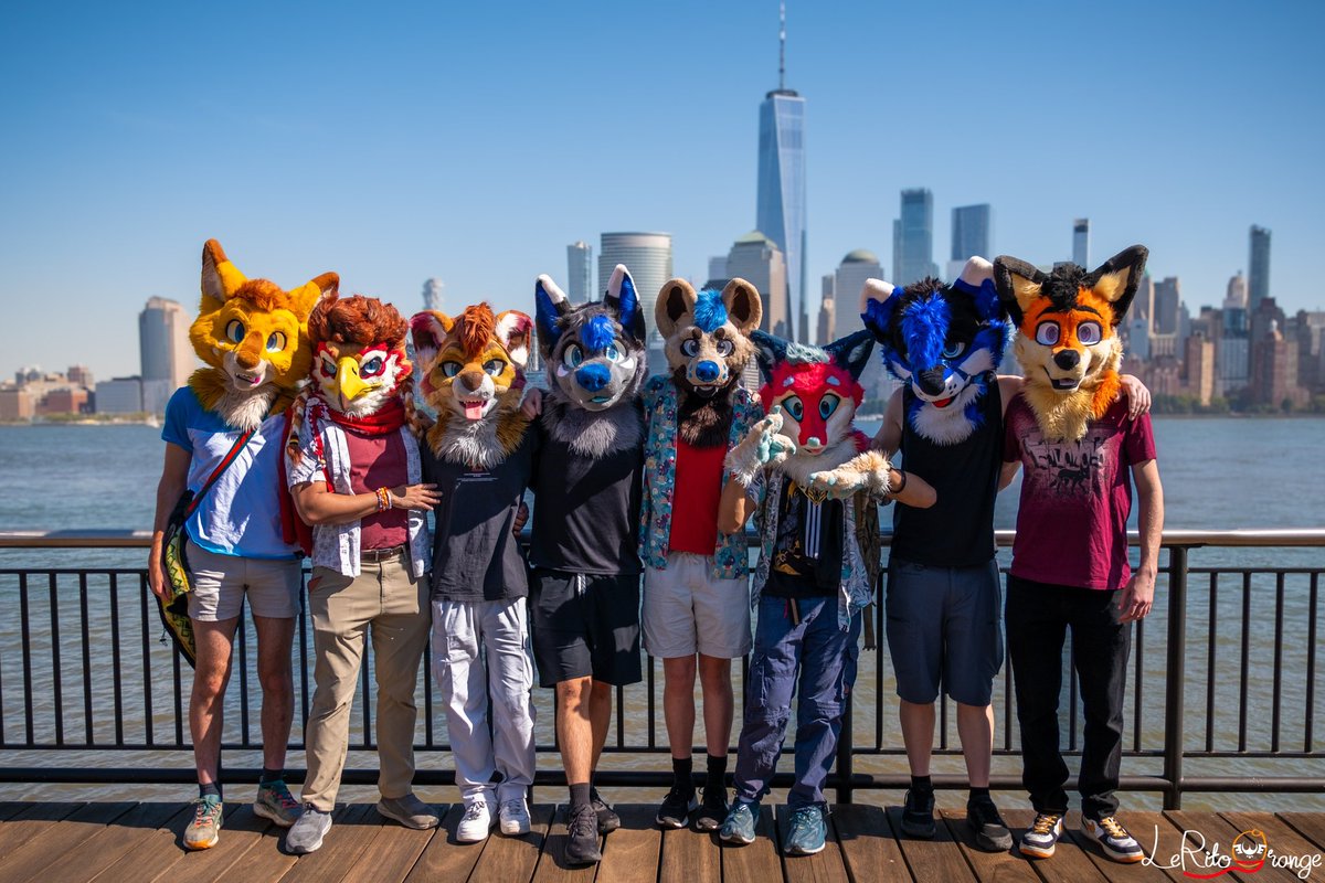 silly city animals 🌆🦊