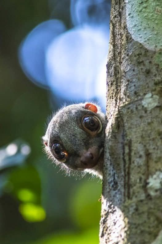 Pym’s Ⓜ️ 🕉 tweet media