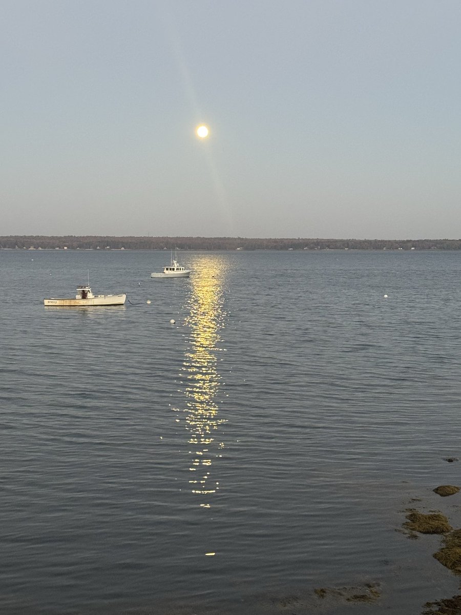tomdomine's tweet photo. The moonlight on the water here in Surry, Maine, is amazing. #datenight https://t.co/1zZX8fj5gb