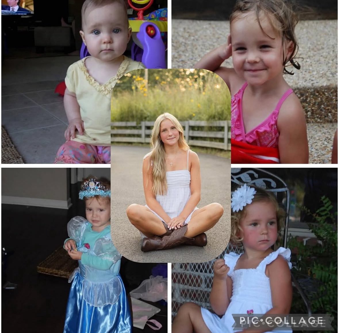 Lib Veebs tweet media