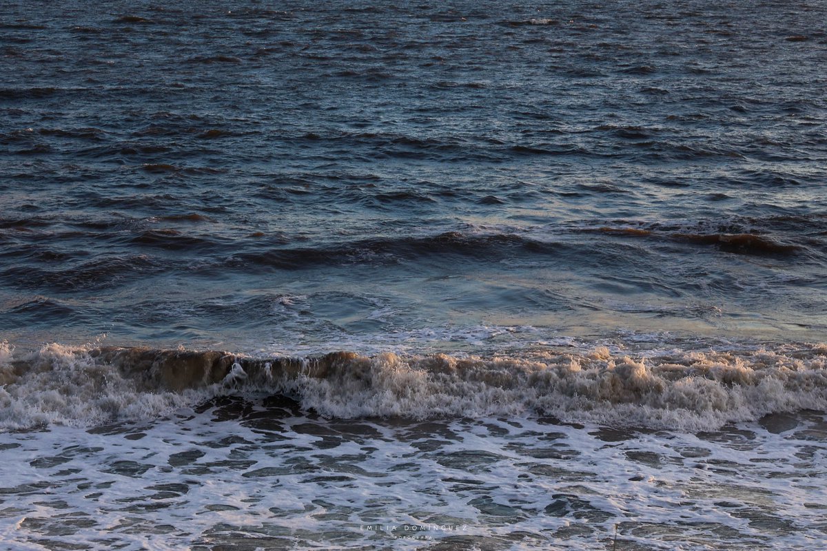 Hoy por Bella Vista, haciendo honor a su nombre 🪻🫶🏻