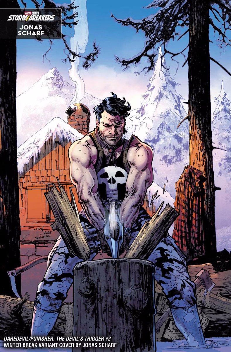 Daredevil/Punisher: Devil's Trigger #2
Winter Break Variant Cover by Jonas Scharf #punisher #thepunisher #daredevil