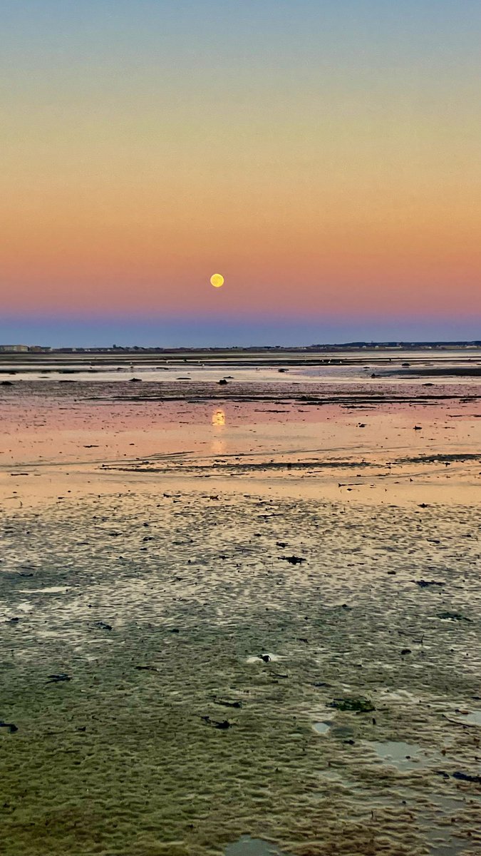 LaddCindyladd's tweet photo. Full Harvest Moon , P https://t.co/CFbX01FlIg