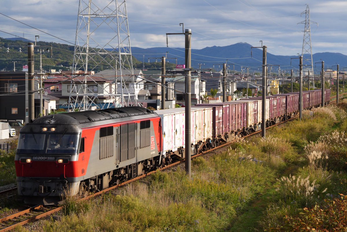 カモノハシ太郎です kanaharupapa (@kanaharupapa) / Posts / X