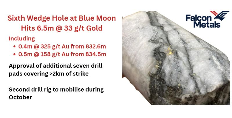Widest high-grade intercept to date with 6.5 m @ 33 g/t Au, including 0.4 m @ 325 g/t Au and 0.5 m @ 158 g/t Au returned from 6th wedge hole at Blue Moon Prospect, north of the 22Moz Bendigo Goldfield in Victoria. 

Read: tinyurl.com/5xdva9ac

$FAL #Gold