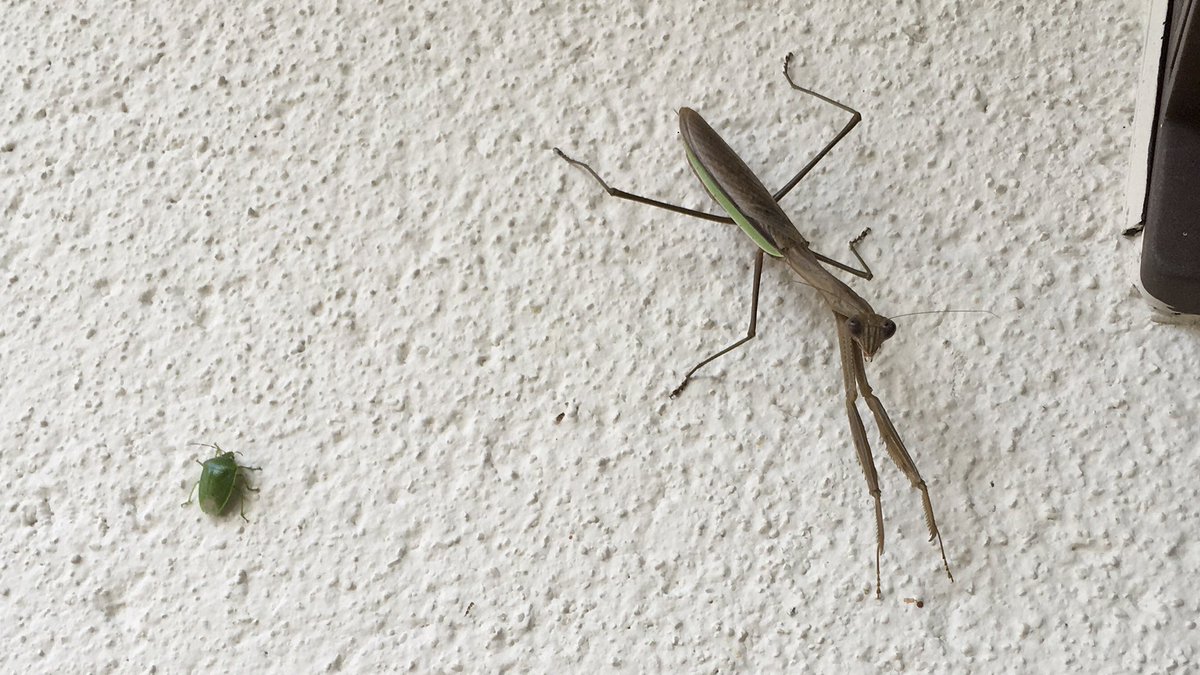 適切な距離感ですな😅