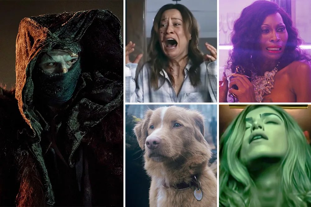 Terius FX tweet media