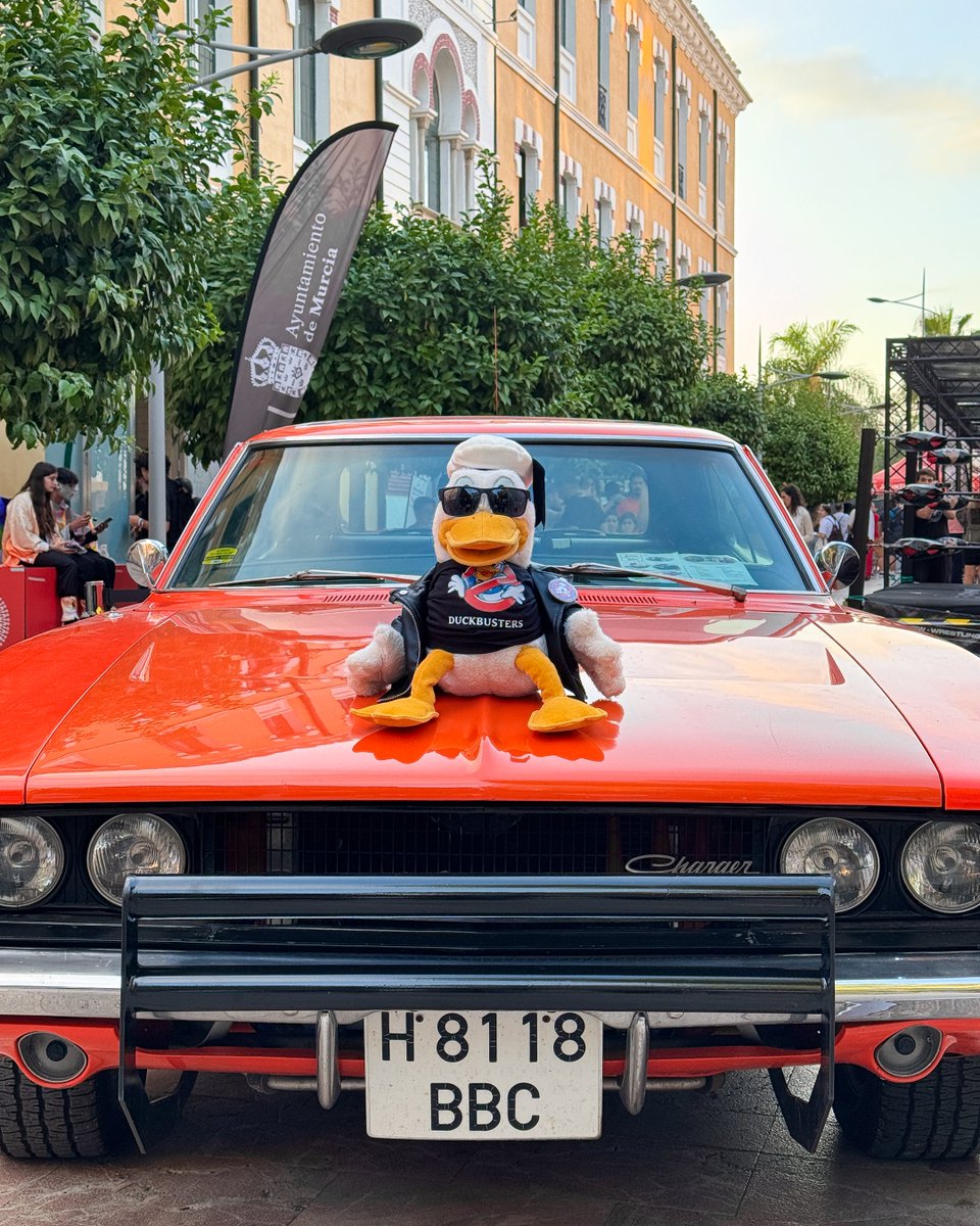 San Pito Pato tweet media