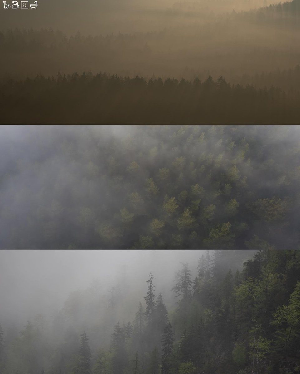 Nobody miss the night so quietly👇💔🦢3500