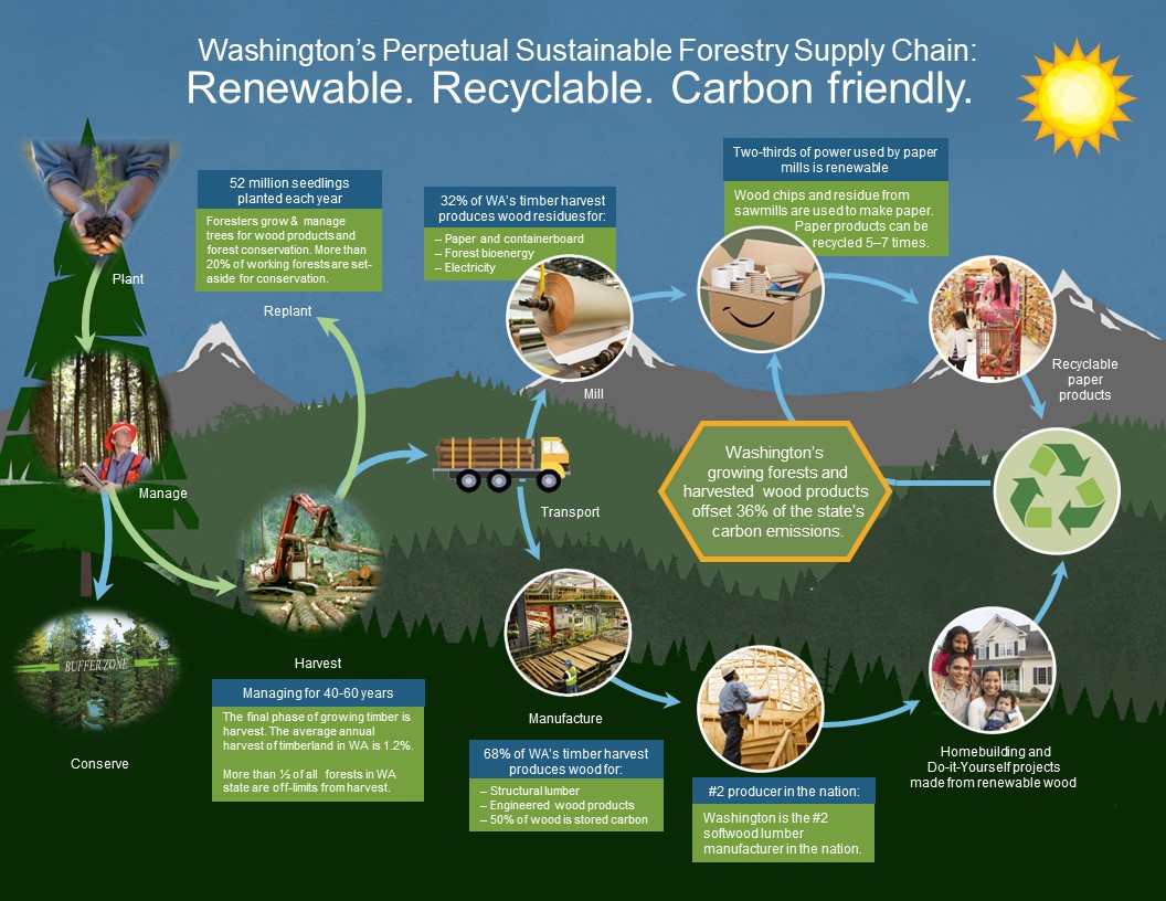 Washington's forestry sector is simultaneously a supplier of circular resources (renewable wood) and a practitioner of circular principles by contributing to a regenerative and sustainable future that provides a net-positive for society and the environment. #workingforests