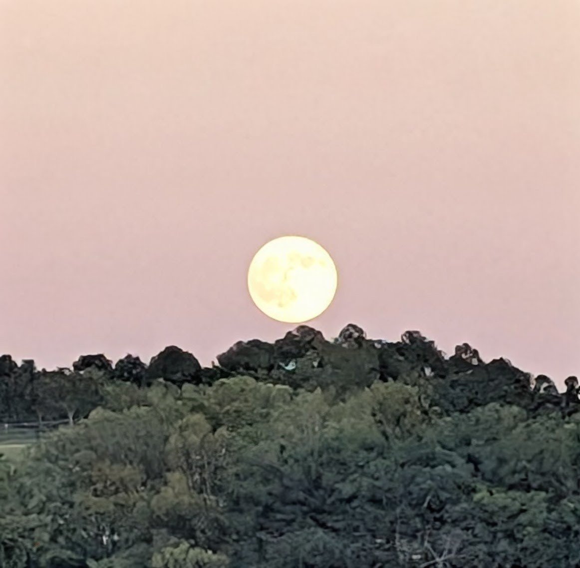 Moonrise tonight.